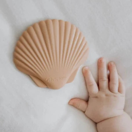 Seashell Teether | Clay